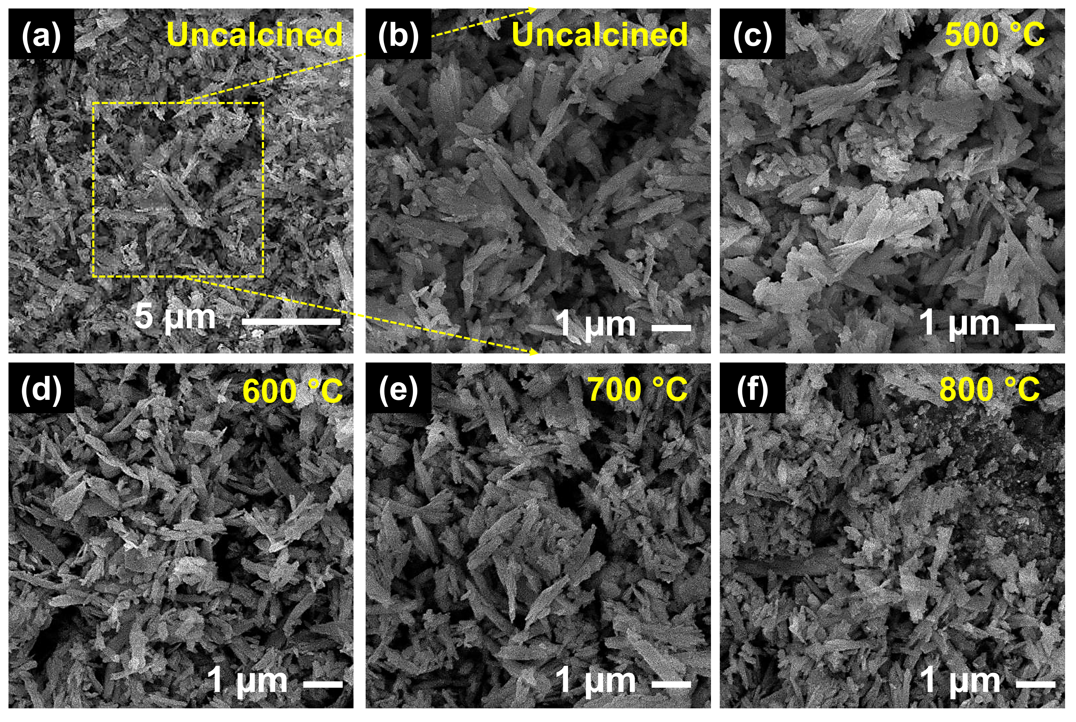 The SEM images of the (a) uncalcined CeO2,
    and calcined CeO2 (b) CeO2-500, (d)
    CeO2-600, (e) CeO2-700, and (f)
    CeO2-800 samples