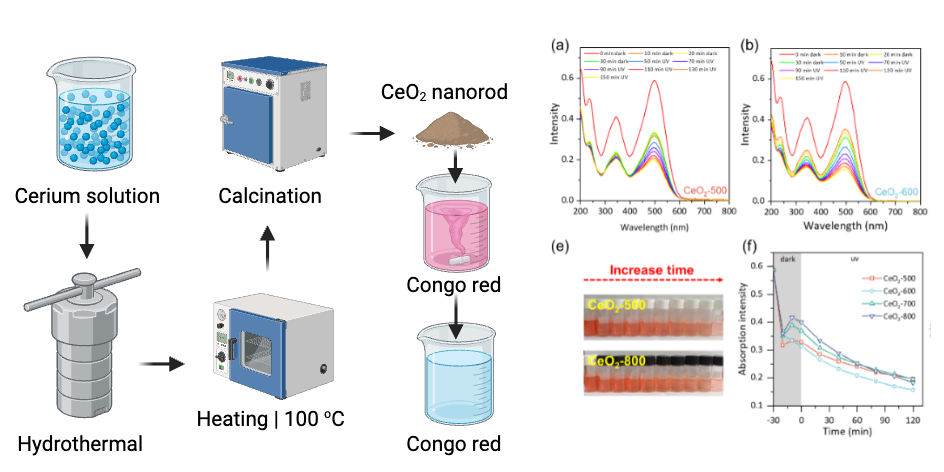 Graphical abstract