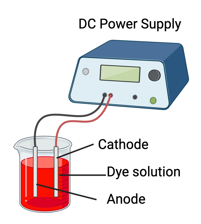 Electrocoagulation reactor