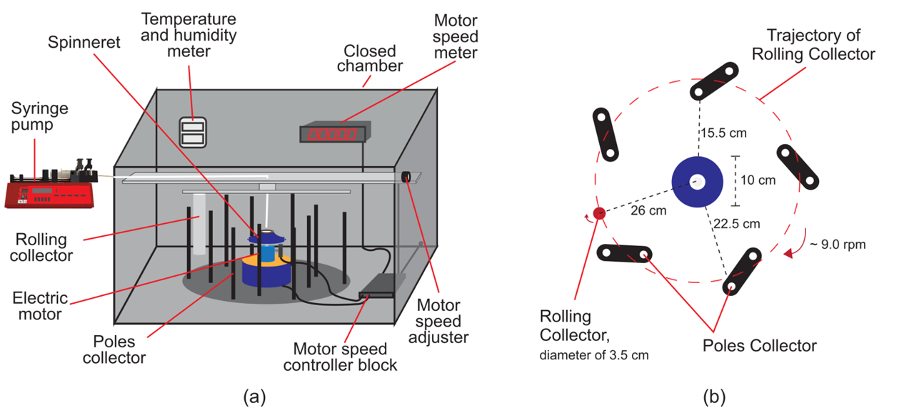 Graphical abstract