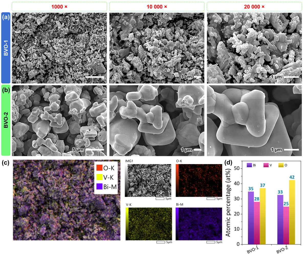 FESEM micrographs and EDS analysis of the two
      BiVO4 samples. (a) BVO–1
      (Bi5O(OH)9(NO3)4
      precursor), a heterogeneous aggregate of submicron particles with
      multiple coexisting morphologies; (b) BVO–2
      (Bi(NO3)3·5H2O precursor),
      uniform 1–2 μm faceted polyhedra, both at 1000×, 10000× and 20000×
      magnification. (c) EDS elemental maps of BVO–1, showing the
      combined signal and the individual O K,
      V K and Bi M distributions.
      (d) EDS atomic percentages of Bi, V and O for the two
      samples.