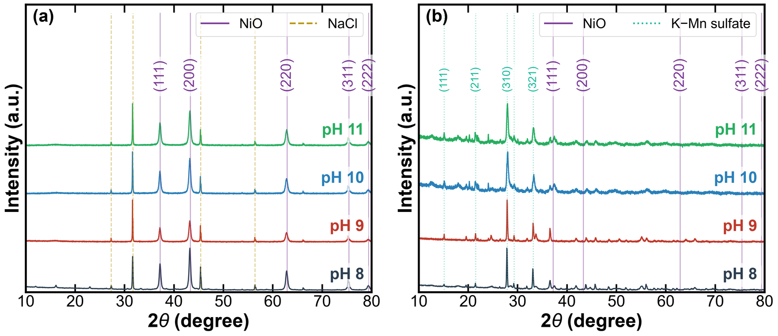 XRD patterns of the samples synthesized at precursor
      pH 8–11: (a) NiO powders, with the cubic NiO and NaCl reflections
      marked; and (b) the products of the hydrothermal step, with the
      NiO reflections marked and the reflections of the langbeinite-type
      by-product phase indexed in Table 1.