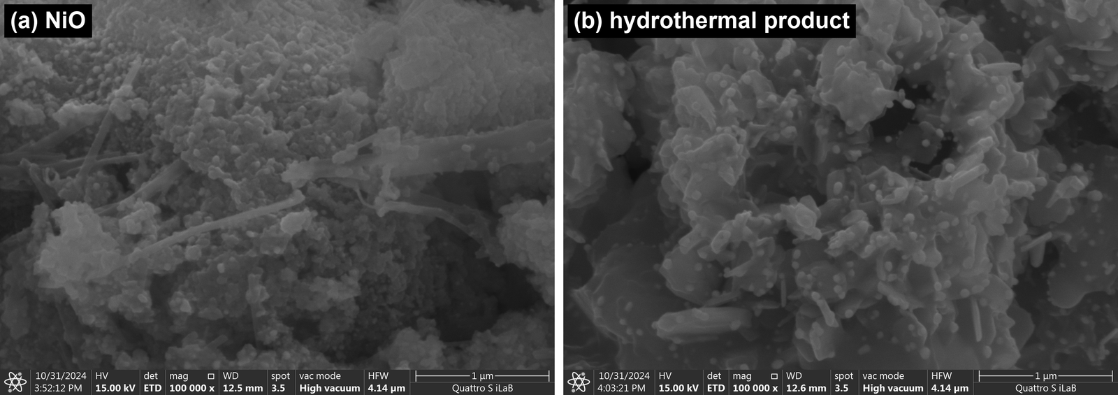 FE-SEM micrographs of the pH 9 samples: (a) NiO and
      (b) the hydrothermal product (100 000×).