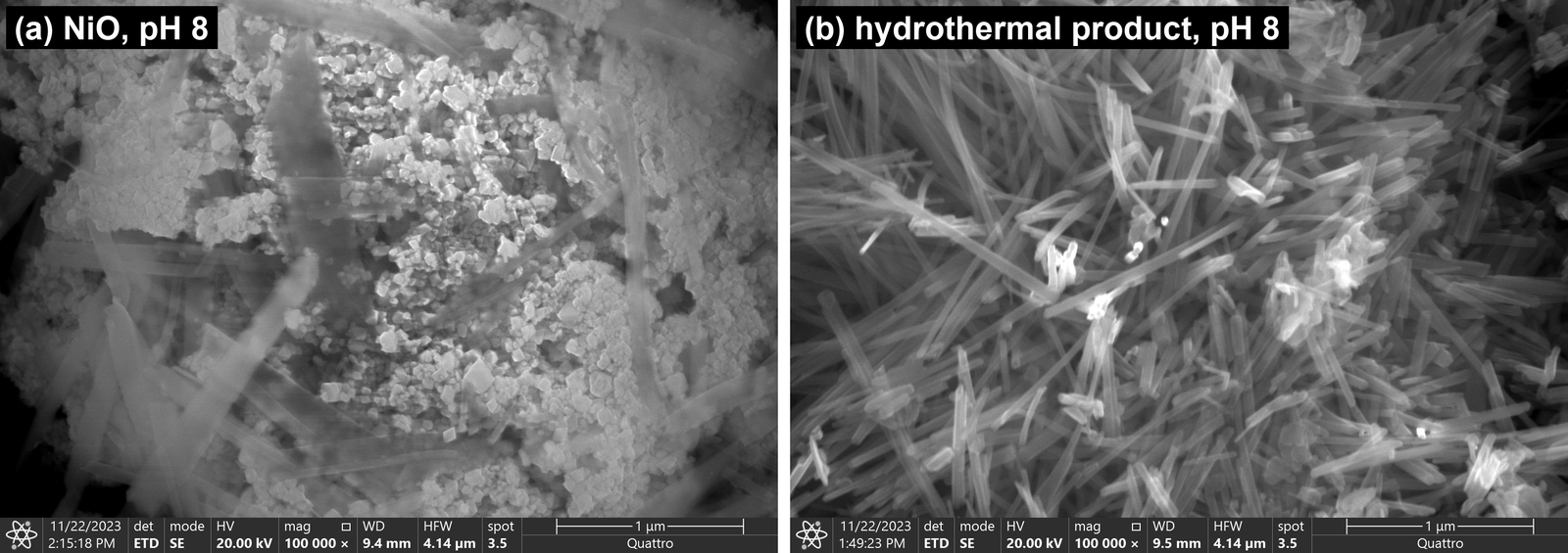 FE-SEM micrographs of the pH-8 samples (100 000×, 20
      kV): (a) NiO powder and (b) the hydrothermal product. The
      instrument data bar, including the calibrated scale bar, is
      retained. These images were acquired in a different session from
      those of Fig. 7 and are compared with them
      qualitatively only.