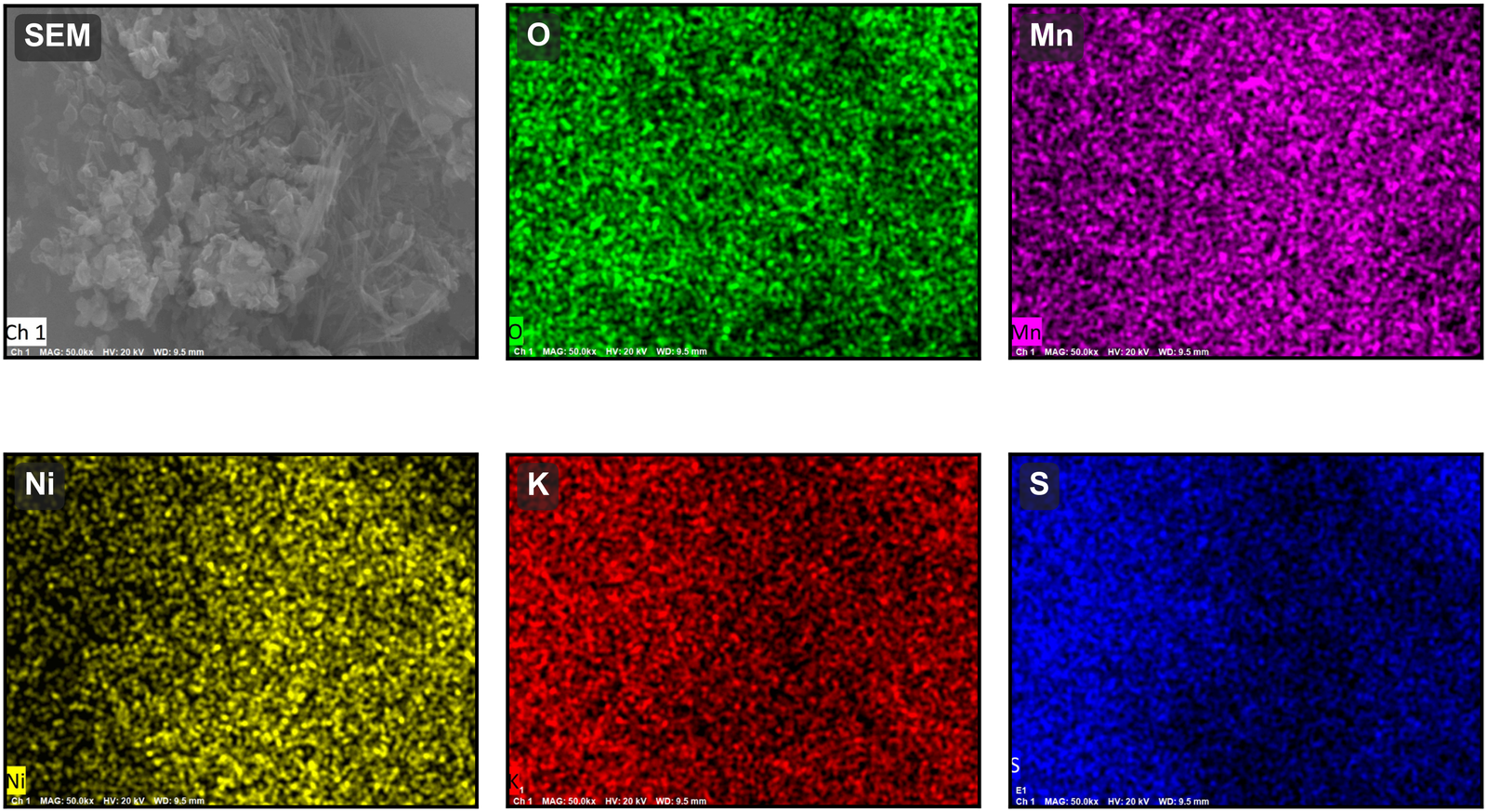 EDS elemental maps of the pH-8 hydrothermal product
      (50 000×): secondary-electron image (SEM) and the O, Mn, Ni, K,
      and S maps. Mn and O span the field with Ni interspersed, and K
      and S are both present—evidencing the potassium–manganese–sulfate
      by-product within the analysed region.