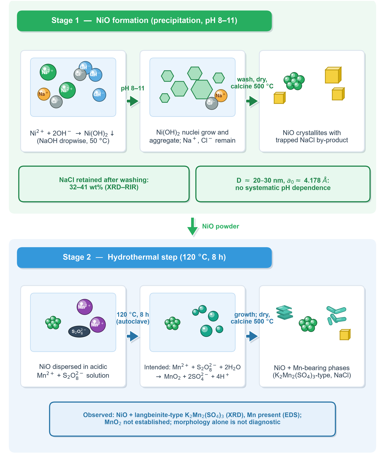 Proposed growth scheme. Stage 1 (precipitation,
      pH 8–11): Ni(OH)2 nucleation and growth followed by
      calcination to NiO, with the NaCl by-product retained after
      washing (32–41 wt% by XRD–RIR); the NiO microstructure shows no
      systematic pH dependence. Stage 2 (hydrothermal, 120 °C, 8 h):
      peroxodisulfate oxidation of Mn2+ is the intended route
      to MnO2 alongside the pre-formed NiO, but the observed
      crystalline product is dominated by a langbeinite-type
      potassium–manganese sulfate and the presence of MnO2 is
      not established (Section 3.1). The phases are drawn
      side by side because the data establish neither the full phase
      content nor the spatial arrangement.