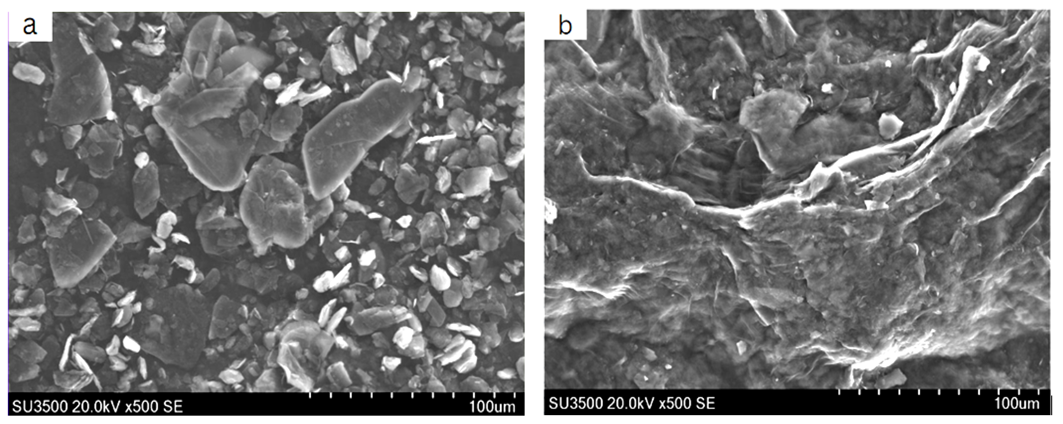 SEM images of (a) Graphite and (b) GO at 500x
magnification