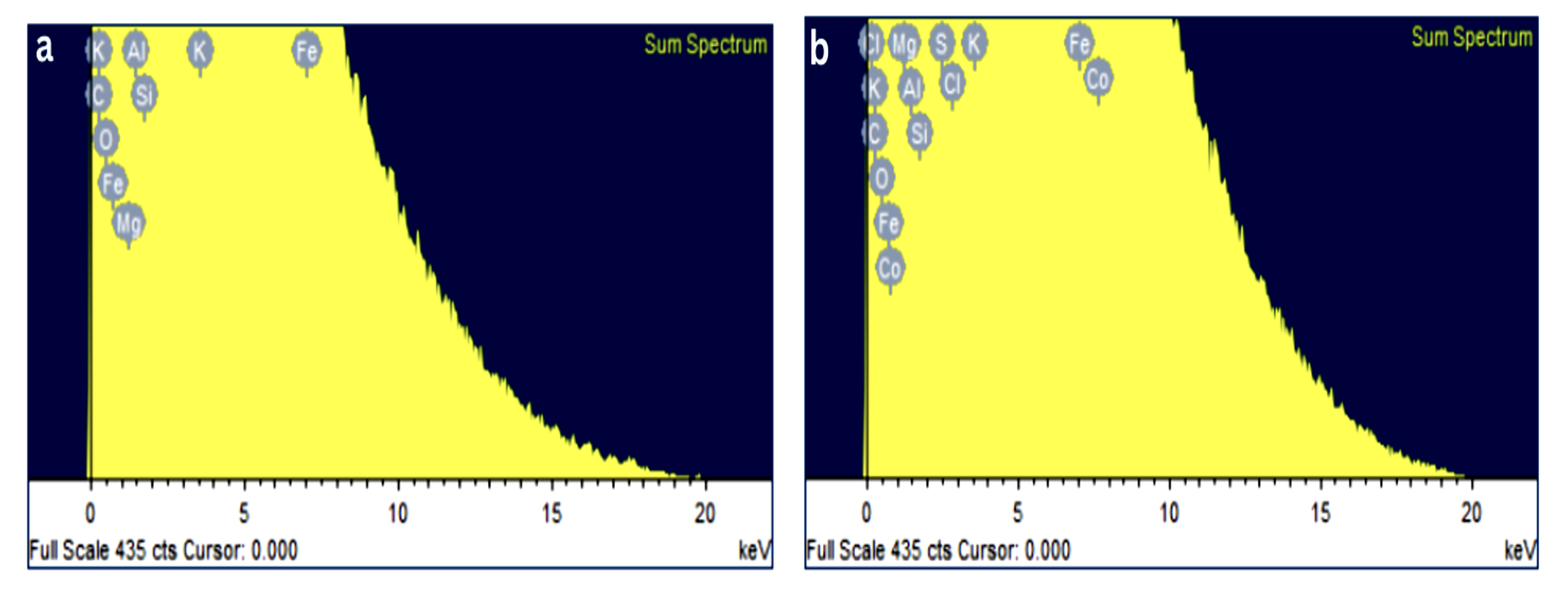 EDX spectra on (a) Graphite and (b) GO